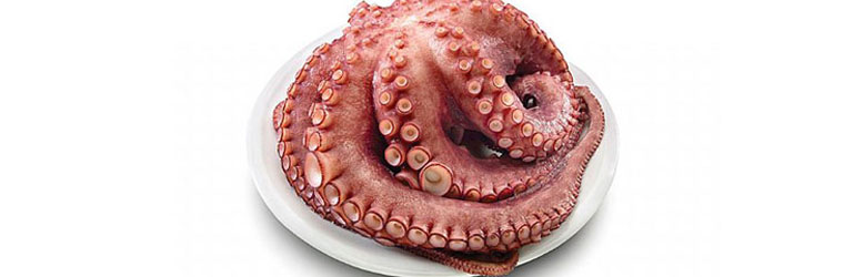 pulpo, recetas pulpo, Onkaia, pulpos onkaia 2